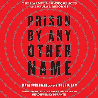 prison by any other name the harmful consequences of popular reforms 1st edition maya schenwar ,victoria law