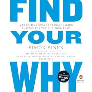 find your why a practical guide for discovering purpose for you and your team 1st edition simon sinek ,david