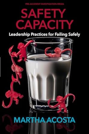 safety capacity leadership practices for failing safely 1st edition martha l acosta ed d ,todd conklin ph d