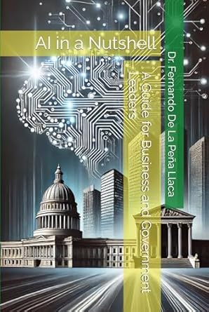 ai in a nutshell a guide for business and government leaders a guide for business and government leaders 1st