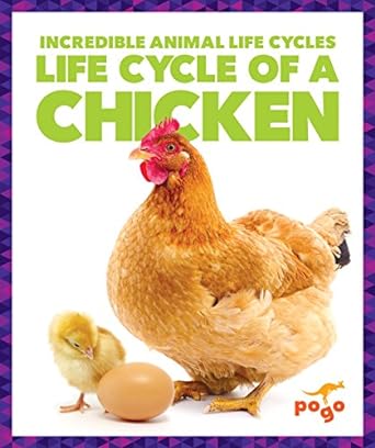 life cycle of a chicken 1st edition karen latchana kenney 1624968074, 978-1624968075