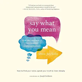 say what you mean a mindful approach to nonviolent communication 1st edition oren jay sofer ,joseph goldstein