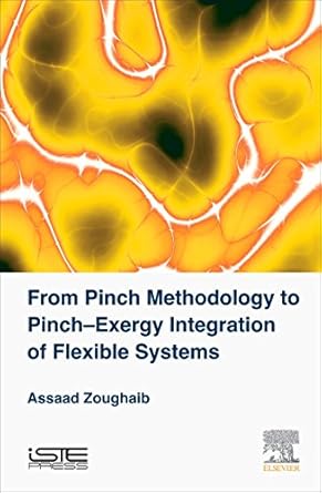 from pinch methodology to pinch exergy integration of flexible systems 1st edition assaad zoughaib