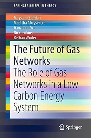 the future of gas networks the role of gas networks in a low carbon energy system 1st edition meysam qadrdan