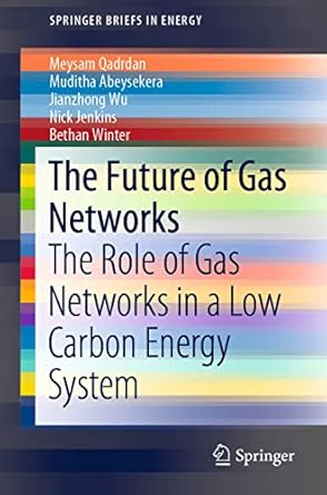 the future of gas networks the role of gas networks in a low carbon energy system 1st edition meysam qadrdan