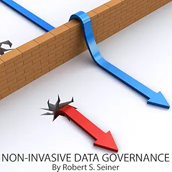 non invasive data governance 1st edition robert s seiner ,randal schaffer ,technics publications b01mfgfu3r