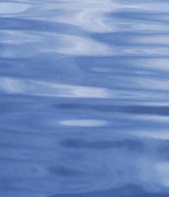 flow visualization 1989/fed vol 85/h00554 presented at the winter annual meeting of the american society of