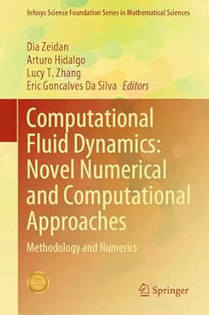 computational fluid dynamics novel numerical and computational approaches methodology and numerics 1st