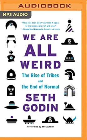 we are all weird the myth of mass and the end of compliance 1st edition seth godin b0bnqcxlz8, 979-8400132711