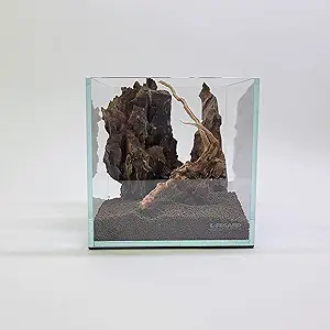 1 gallon nano cube low iron ultra clear glass aquarium 1st edition lifegard b0bqp2jkv2