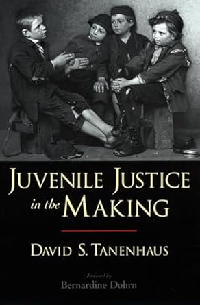 juvenile justice in the making 1st edition david s tanenhaus ,bernardine dohrn 0195306503, 978-0195306507