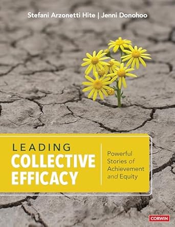leading collective efficacy powerful stories of achievement and equity 1st edition stefani arzonetti hite