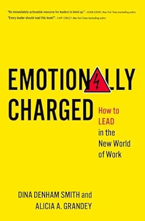 emotionally charged how to lead in the new world of work 1st edition dina denham smith ,alicia a grandey