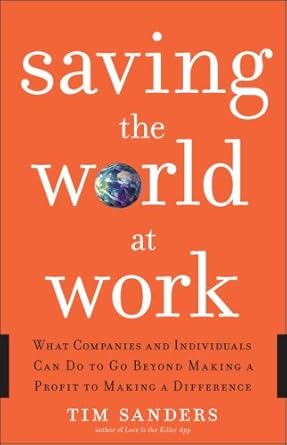 saving the world at work what companies and individuals can do to go beyond making a profit to making a