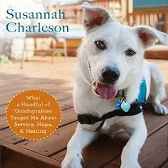 the possibility dogs what a handful of unadoptables taught me about service hope and healing 1st edition
