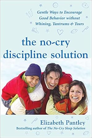 the no cry discipline solution gentle ways to encourage good behavior without whining tantrums and tears