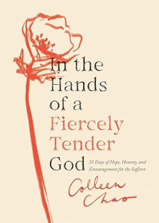 in the hands of a fiercely tender god 31 days of hope honesty and encouragement for the sufferer 1st edition