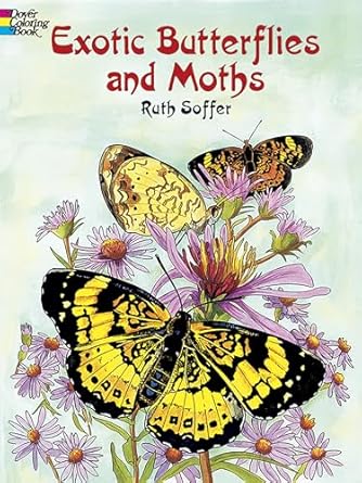 exotic butterflies and moths coloring book 1st edition ruth soffer 0486423816, 978-0486423814