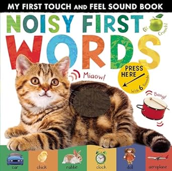 noisy first words my first touch and feel sound book 1st edition libby walden 1848698496, 978-1848698499