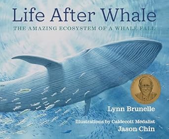 life after whale the amazing ecosystem of a whale fall 1st edition lynn brunelle ,jason chin 082345228x,