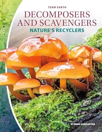 decomposers and scavengers natures recyclers natures recyclers 1st edition emma huddleston 1532190980,