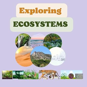 exploring ecosystems for kids 8 to 12 years producers herbivores carnivores decomposers types of ecosystems