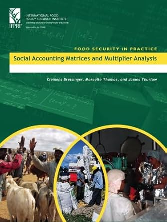 social accounting matrices and multiplier analysis an introduction with excercises 1st edition clemens