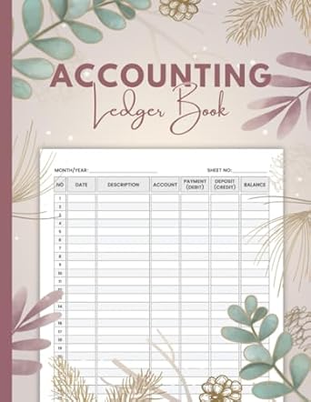 accounting ledger book financial bookkeeping for income and expenses business or personal finance 1st edition
