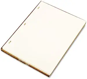 wilson jones looseleaf minute book ledger sheets ivory 11 x 8 1/2 100 sheets/box 1st edition wilson jones