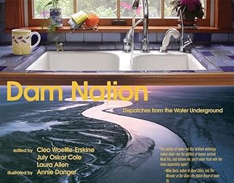 dam nation dispatches from the water underground 1st edition cleo woelfle erskine ,july oskar cole ,laura