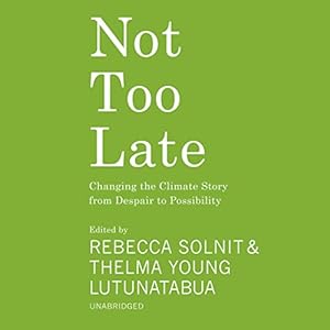 not too late changing the climate story from despair to possibility 1st edition rebecca solnit editor ,thelma