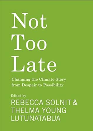not too late changing the climate story from despair to possibility 1st edition rebecca solnit ,young