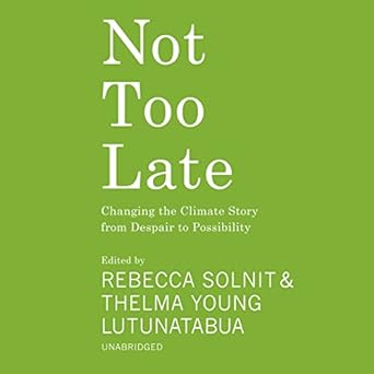 not too late changing the climate story from despair to possibility 1st edition various authors ,rebecca