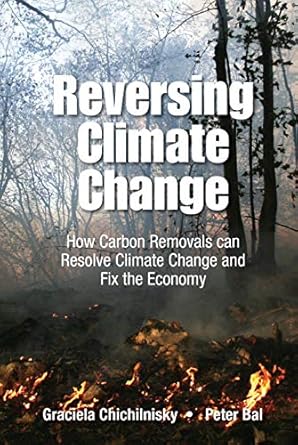 reversing climate change how carbon removals can resolve climate change and fix the economy 1st edition