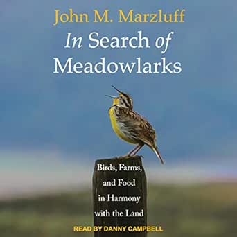 in search of meadowlarks birds farms and food in harmony with the land 1st edition john m marzluff ,danny