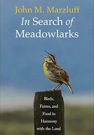 in search of meadowlarks birds farms and food in harmony with the land 1st edition john m marzluff