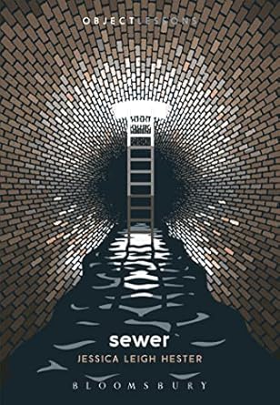 sewer 1st edition jessica leigh hester b0bfd9gxmr