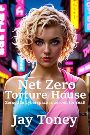 net zero torture house 1st edition jay toney b0djdz5ptc