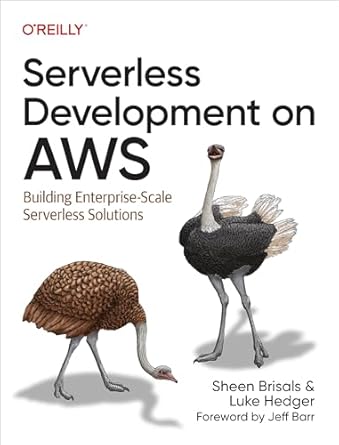 serverless development on aws building enterprise scale serverless solutions 1st edition sheen brisals ,luke