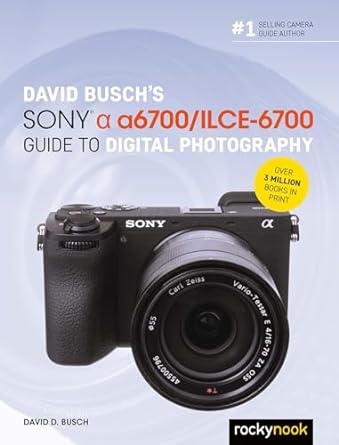david buschs sony alpha a6700/ilce 6700 guide to digital photography 1st edition david d busch b0cckg3rsd,