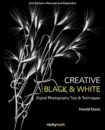 creative black and white digital photography tips and techniques 1st edition harold davis 1681984962,