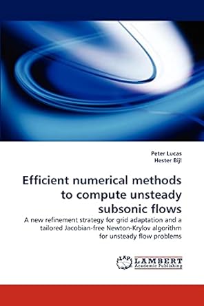 efficient numerical methods to compute unsteady subsonic flows a new refinement strategy for grid adaptation