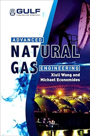 advanced natural gas engineering 1st edition xiuli wang ,michael economides 1933762381, 978-1933762388