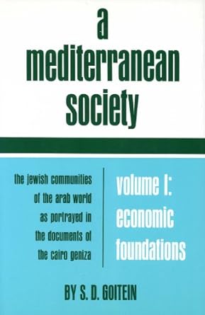 a mediterranean society the jewish communities of the arab world as portrayed in the documents of the cairo