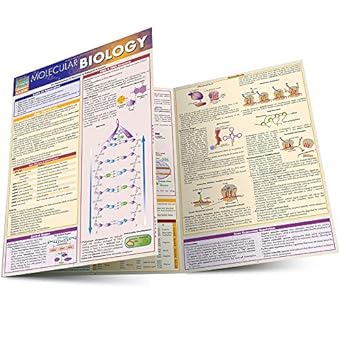 molecular biology 1st edition inc barcharts 1423218736, 978-1423218739