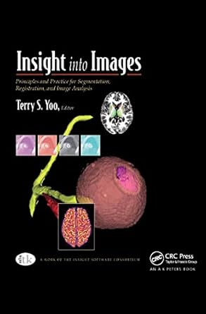 insight into images 1st edition terry s yoo 1568812175, 978-1568812175