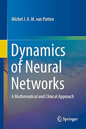 dynamics of neural networks a mathematical and clinical approach 1st edition michel j a m van putten