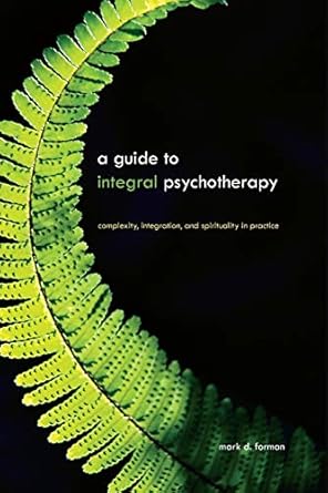 a guide to integral psychotherapy complexity integration and spirituality in practice 1st edition mark d