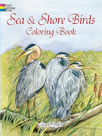 sea and shore birds coloring book 1st edition ruth soffer 0486408051, 978-0486408057