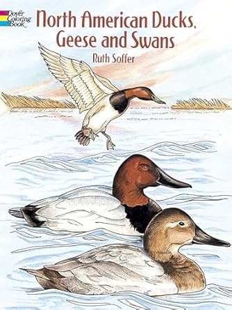 north american ducks geese and swans coloring book 1st edition ruth soffer 0486291650, 978-0486291659